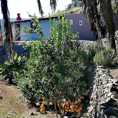 El Cedro Casa La Montana 빌라 외부 사진