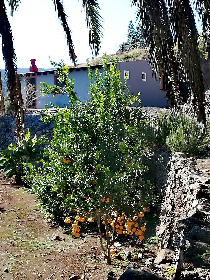 El Cedro Casa La Montana 빌라 외부 사진